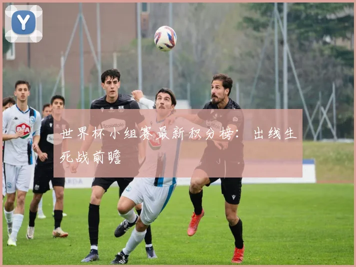世界杯小组赛最新积分榜：出线生死战前瞻